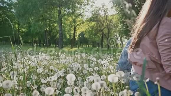 夏日的浪漫情侣在林间空地上它们掉进了有白色蒲公英的草里一起快乐夏天太阳视频的预览图