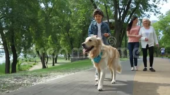 小机器人和他的狗在公园里散步视频的预览图