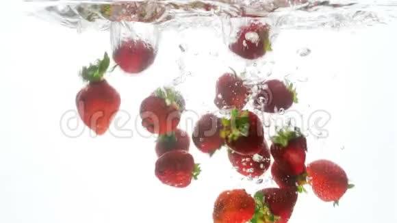 特写4k视频新鲜草莓在白色背景下落入水中视频的预览图