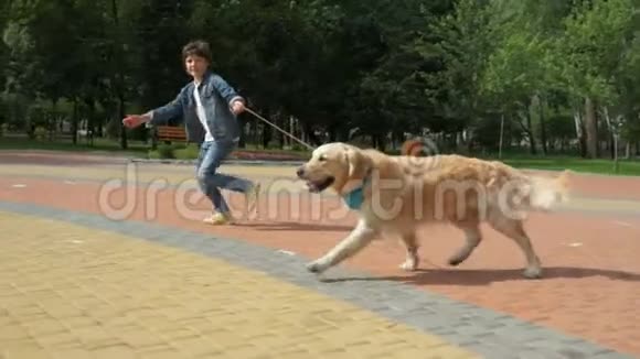 欣喜若狂的小男孩带着他的狗跑视频的预览图