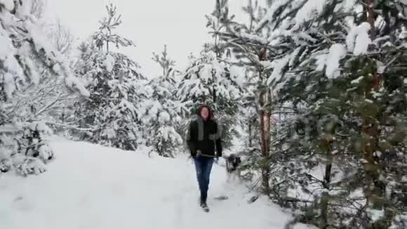 冬天的森林里一个男人带着西伯利亚哈士奇走路视频的预览图