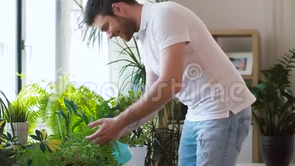 男人在家里用水喷洒室内植物视频的预览图