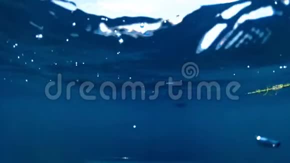 阳光明媚的一天海洋中救生圈的水下慢速运动镜头视频的预览图