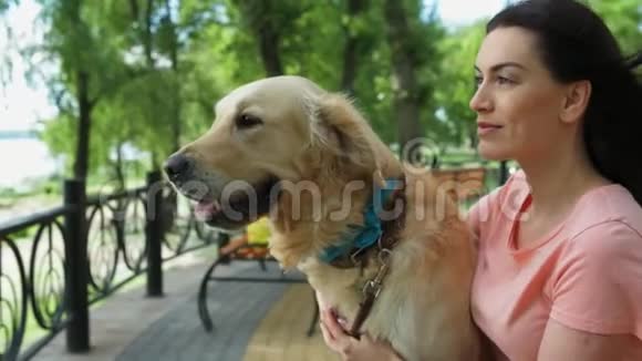漂亮的女人和她的狗坐在长凳上视频的预览图