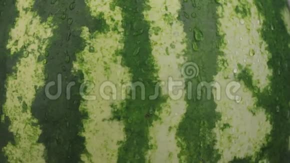 旋转特写将水滴落在成熟的西瓜上视频的预览图