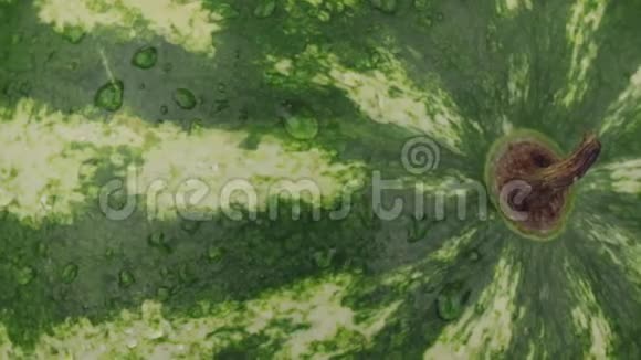 旋转特写将水滴落在成熟的西瓜上视频的预览图