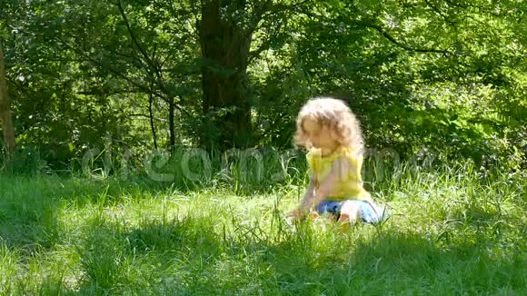 黄色衬衫可爱的无忧无虑的小女孩坐在地上拿起青草享受阳光视频的预览图