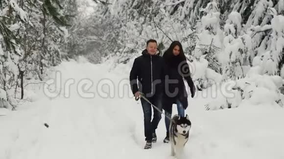一对幸福的夫妇在冬日的松林里带着美丽的西伯利亚哈士奇走着他们在安慰视频的预览图