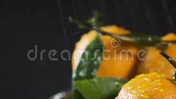 在黑色背景下用水滴清洗橙色橘子视频的预览图