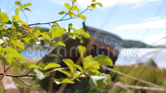 树叶在一艘旧渔船的背景上摇曳视频的预览图