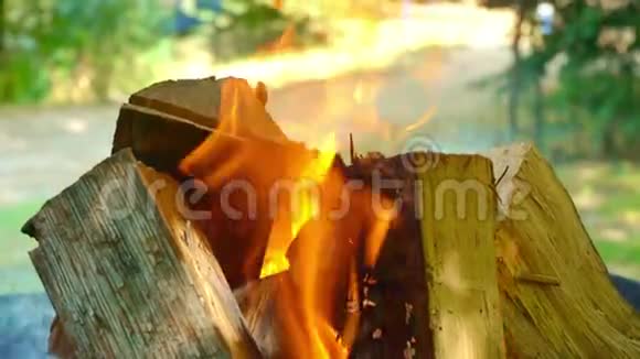 烤架上烧煤用的木柴特写木头在烤架上燃烧火把树包围在视频的预览图