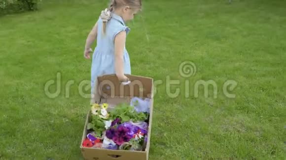 可爱的小女孩在草地上拉着花的纸盒视频的预览图