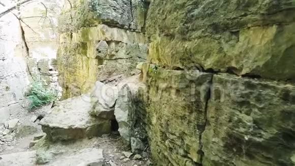 赫西干岩石花园视频的预览图