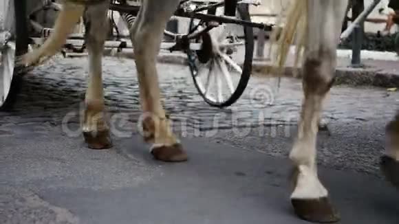 白色马车正沿着街道行驶结婚路是从马的车轮和蹄子上开出的视频的预览图
