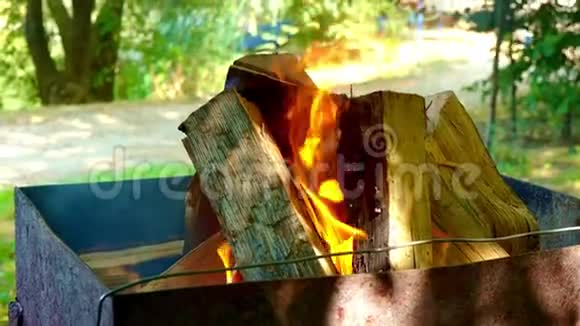 烤架上烧煤用的木柴特写木头在烤架上燃烧火把树包围在视频的预览图