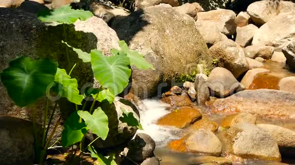充满岩石的神奇河流快速岩石清晰的水晶流与急流蒸汽与级联溅落的水花视频的预览图
