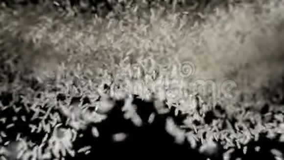 白色巴斯马蒂大米种子反弹相机黑色背景视频的预览图