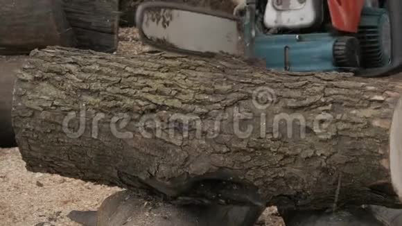 伐木工人锯木头做木柴4k视频的预览图