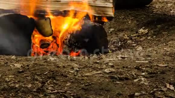 篝火之夜施法者燃烧迅速时间流逝101视频的预览图