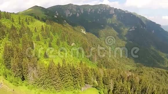 罗马尼亚Ciucas山脉的森林视频的预览图