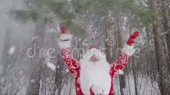 冬天圣诞老人在白雪覆盖的森林里挥舞双手视频的预览图