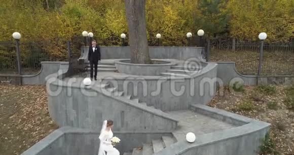 科普特对婚礼的看法新郎和新娘在森林环绕的大公园里散步视频的预览图