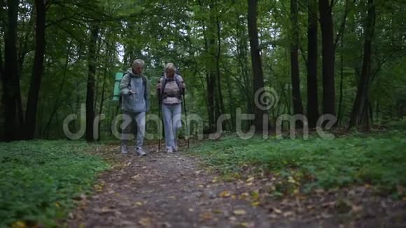 一对年轻夫妇在森林中散步的低角度照片视频的预览图