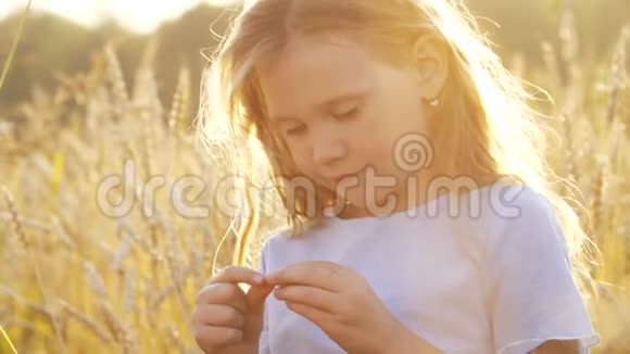 一个快乐美丽的女孩面对大自然的夏天视频的预览图