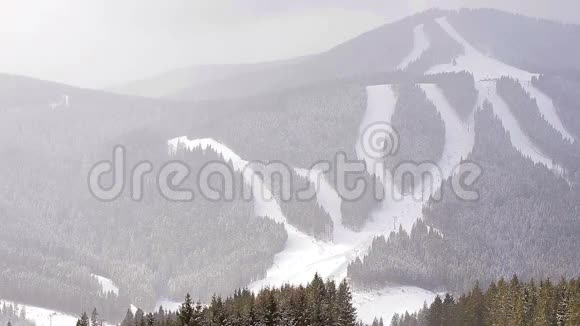 树林里有滑雪道视频的预览图