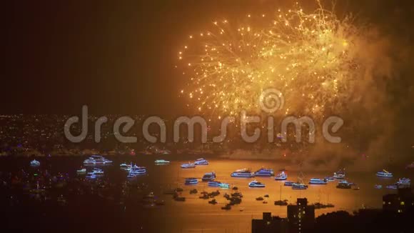 新年前夕海港庆祝活动视频的预览图