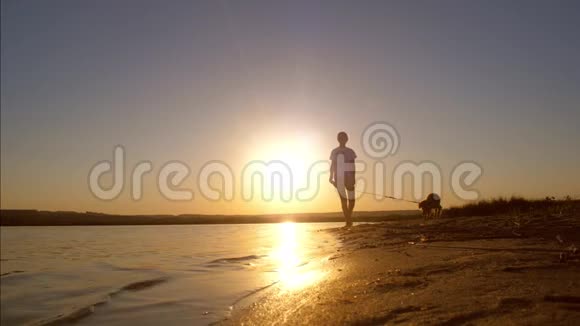年轻女孩带着狗在美丽的日落背景下沿着海滩散步慢动作视频的预览图
