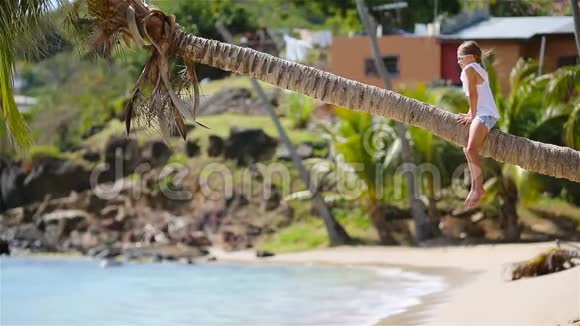 暑假期间坐在棕榈树上的热带海滩上可爱的小女孩的后景视频的预览图