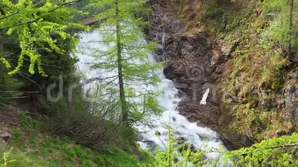 意大利阿尔卑斯山小溪的瀑布干净和纯净的水视频的预览图