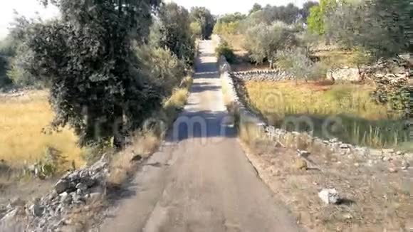 山谷乡村公路意大利南部阿普利亚地区萨伦托伊特里亚视频的预览图