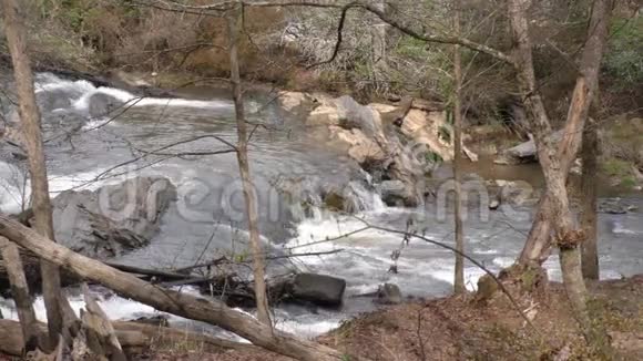 乔治亚州斯威沃特溪公园斯威沃特溪支流上的瀑布视频的预览图