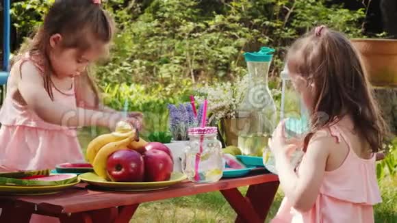 两个小女孩在夏季野餐时喝柠檬水视频的预览图