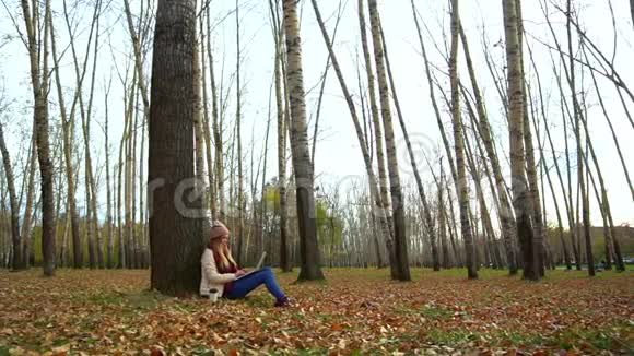 迷人的年轻女孩在秋天公园的树下坐在地上在笔记本电脑里工作视频的预览图