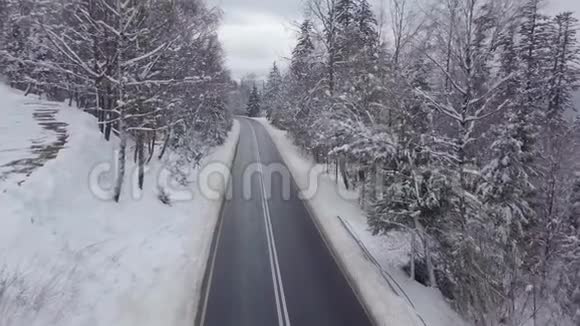 在白雪皑皑的树间铺了一条路视频的预览图