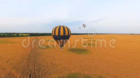 两个热气球漂浮在金色的田野上迷人的风景视频的预览图