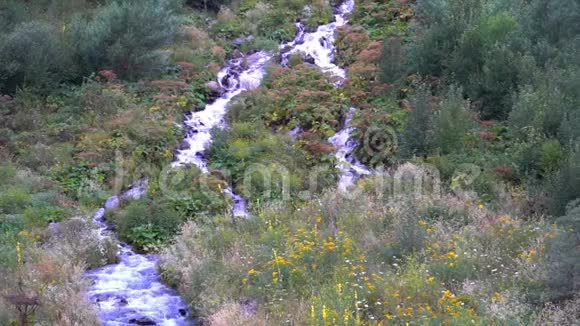 最干净的山泉清澈的水流穿山而过视频的预览图
