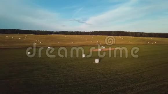 干草散落在刚收获的田地上视频的预览图