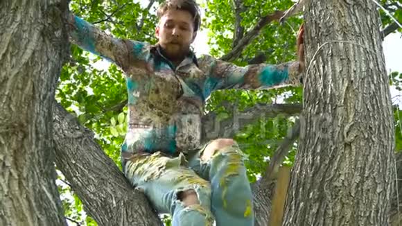30岁穿衬衫的酷男人坐在树上视频的预览图