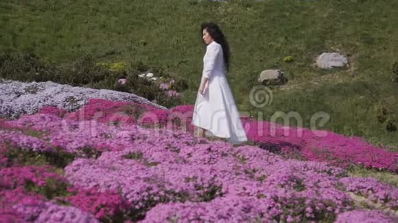 迷人的黑发在植物园的粉红色花坛中漫步视频的预览图