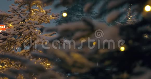 雪夜公园有圣诞灯的森林视频的预览图