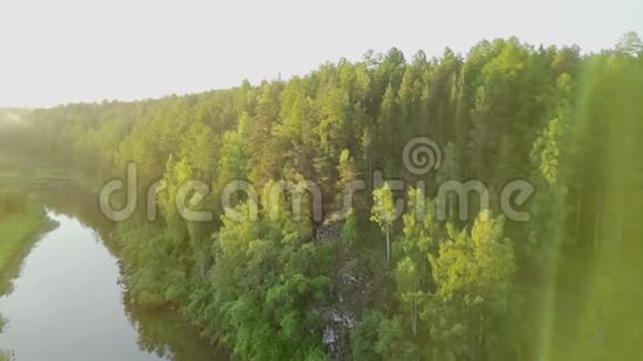 明亮的阳光落在河边的绿色森林上库存录像温暖的阳光洒在美丽的密林中伴着视频的预览图