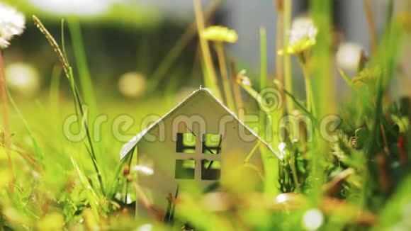 绿色草地中房子模式的生态家庭隐喻视频的预览图
