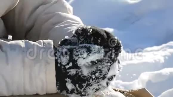 少年男孩玩雪做雪球冬天把雪扔在手里阳光明媚的冬日视频的预览图