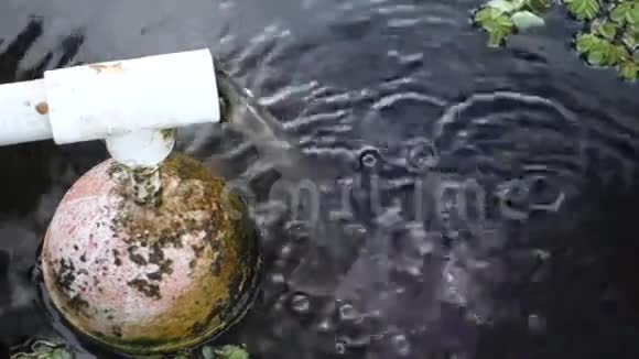 热带地区的国产水泵视频的预览图