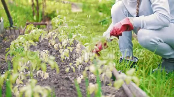 家庭用耙子除草夏天在花园里视频的预览图