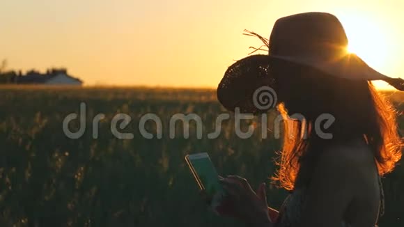 日出时女人正在使用智能手机4k视频视频的预览图